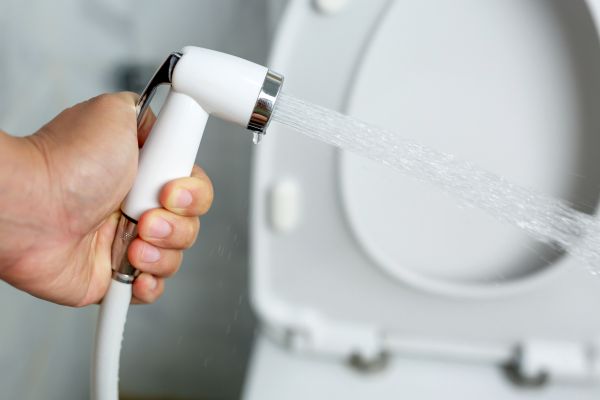 Cost of Bidet Installation in Wausau