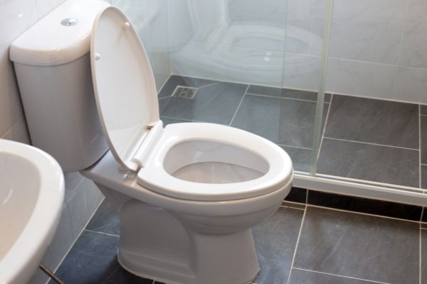 Cost of Toilet Replacement in Wausau