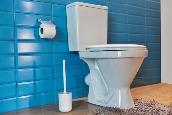 Cost of Toilet Tank Repair in Wausau