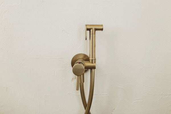 Cost of Bidet Plumbing in Wausau